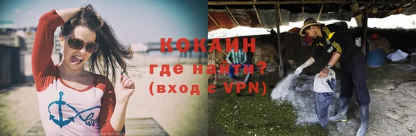 дмт Медвежьегорск
