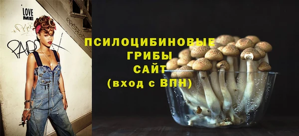 дмт Медвежьегорск