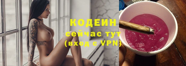 дмт Мегион