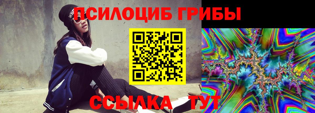 Псилоцибиновые грибы Psilocybine cubensis Улан-Удэ