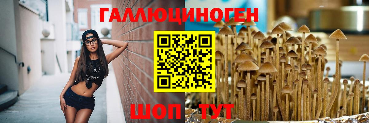 Галлюциногенные грибы Psilocybine cubensis  Вход с VPN  Улан-Удэ  Псилоцибиновые грибы ЛСД 